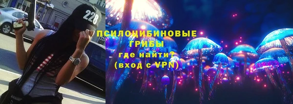 стафф Алагир